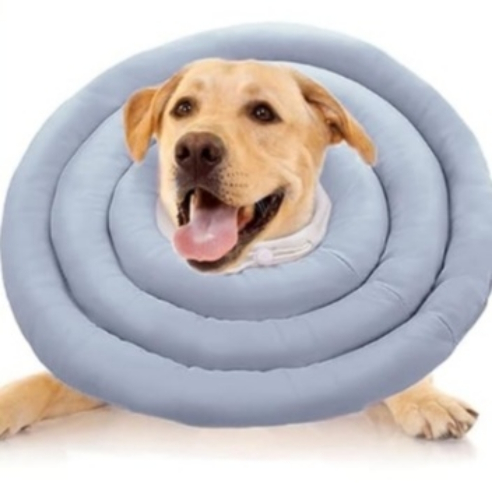 NWOT Dog Cone Collar for After Surgery Soft Pet Recovery Collar Size XXLarge